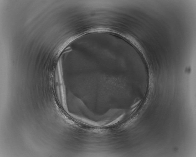 X0000115340953200911161829