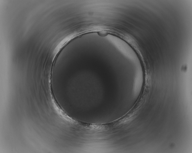 X0000115340954200911161829