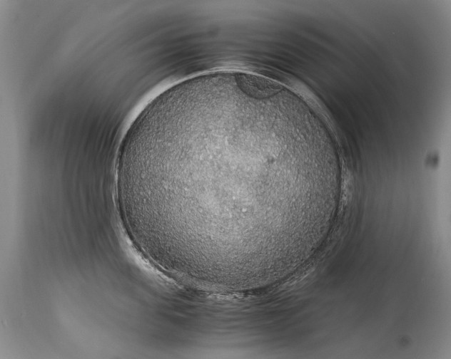 X0000115340955200911161829