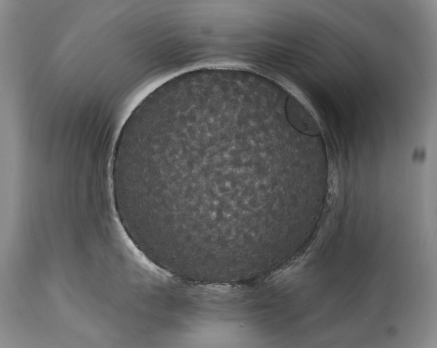 X0000115340959200911161829