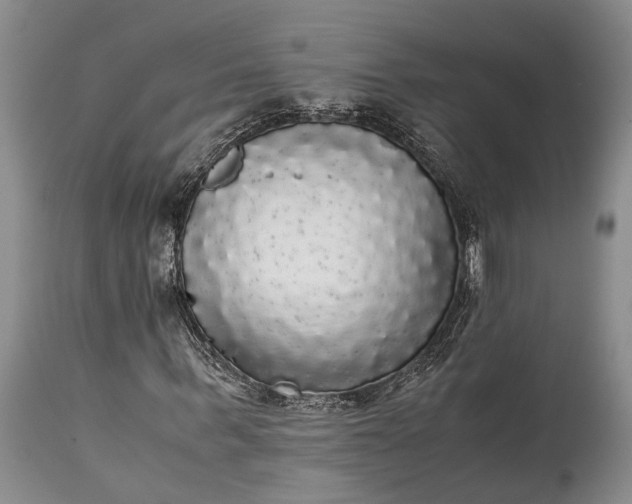 X0000115340963200911161828