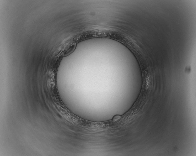 X0000115340964200911161828