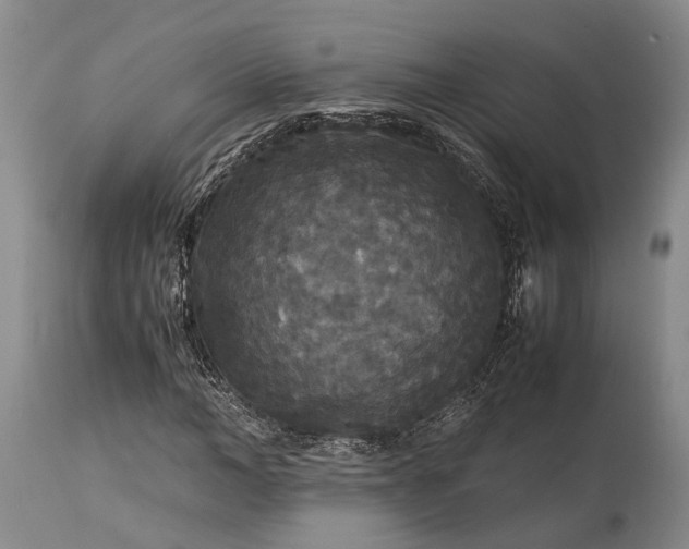 X0000115340966200911161828