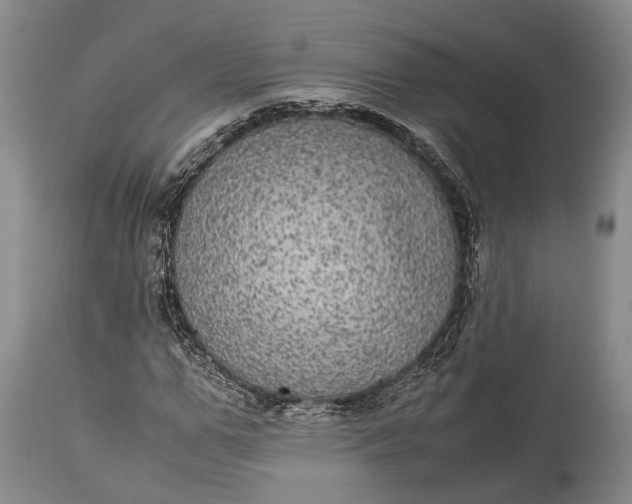 X0000115340967200911161828