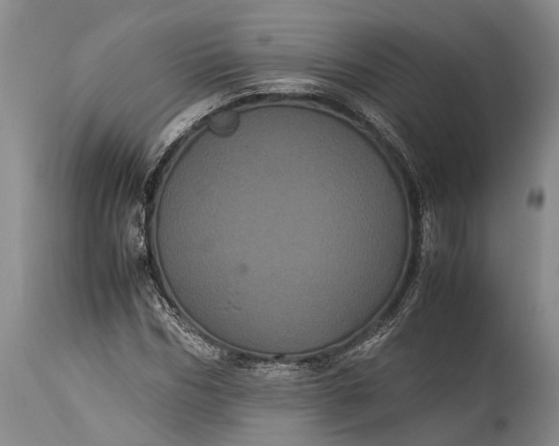X0000115340970200911161828