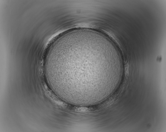 X0000115340971200911161828