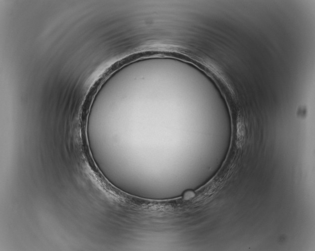 X0000115340972200911161828