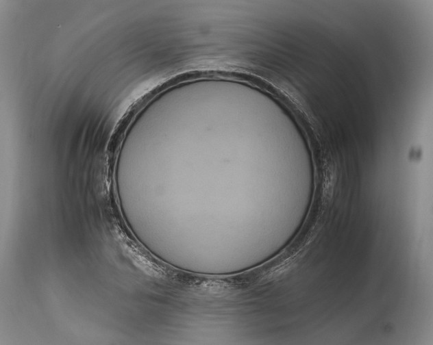 X0000115340974200911161828