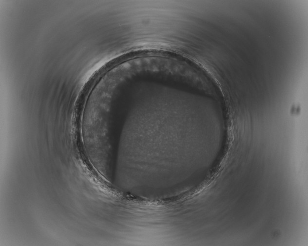 X0000115340975200911161828