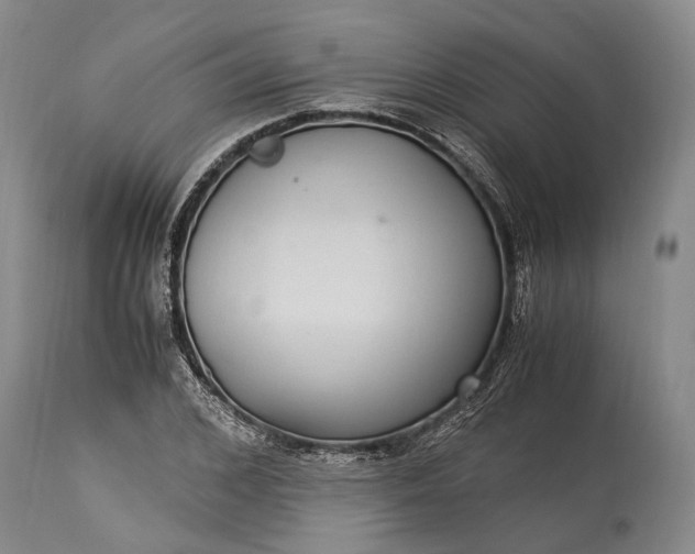 X0000115340976200911161828