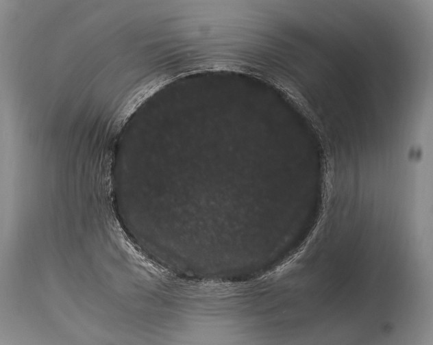 X0000115340977200911161828