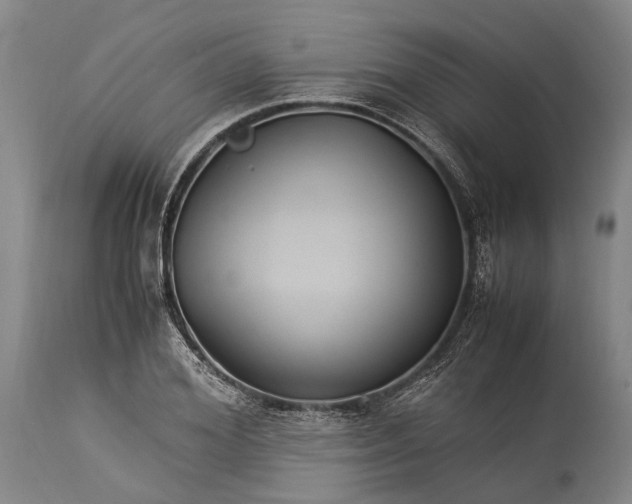 X0000115340980200911161828