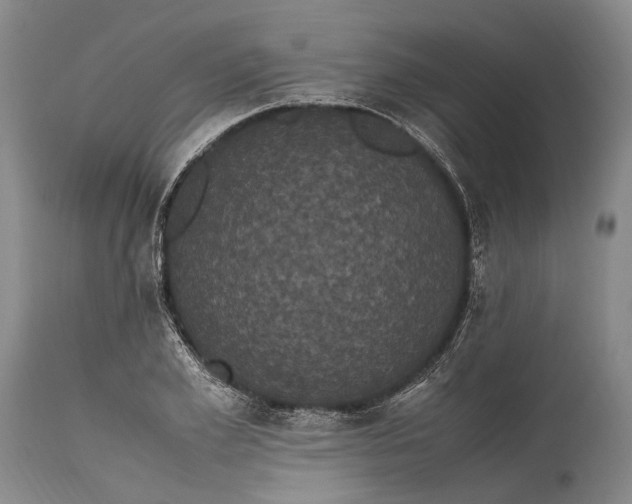 X0000115340981200911161828
