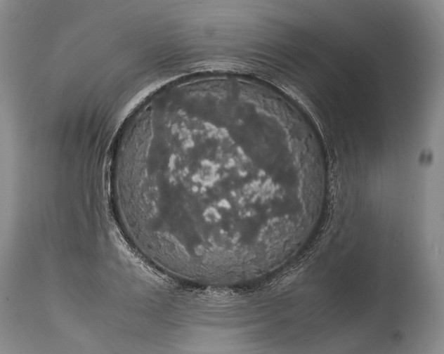 X0000115340983200911161828