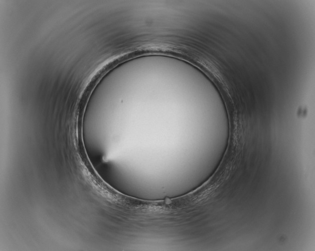 X0000115340984200911161828