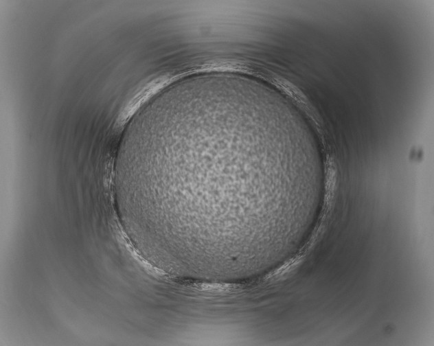 X0000115340985200911161828