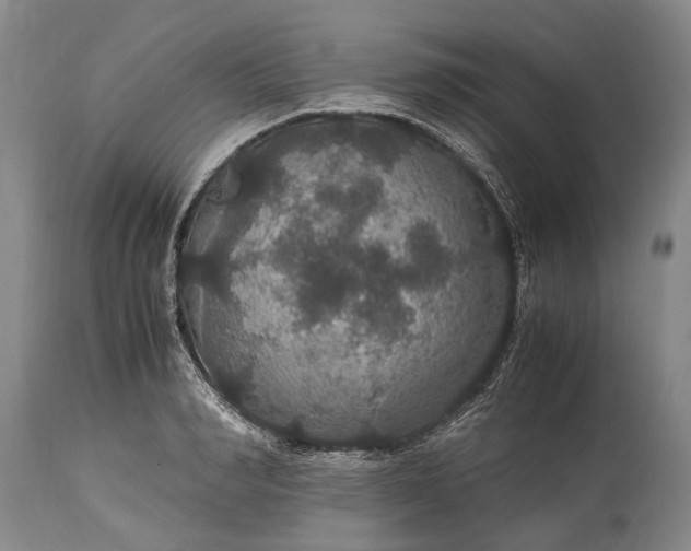 X0000115340990200911161828