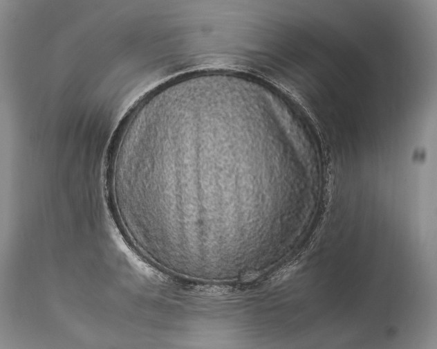 X0000115340991200911161828