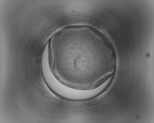 X0000115340993200911161827