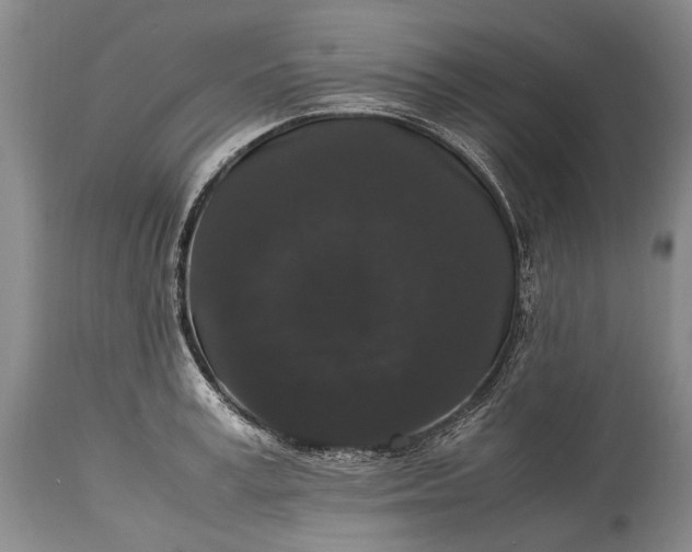 X0000115340995200911161827
