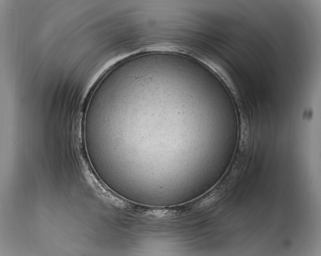 X0000115341000200911161827