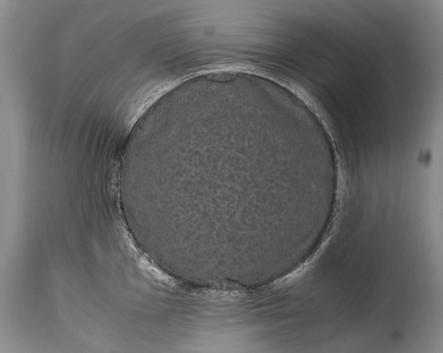 X0000115341001200911161827