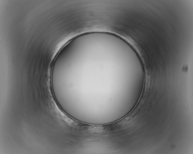 X0000115341006200911161827