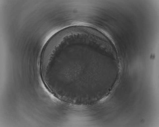 X0000115341007200911161827