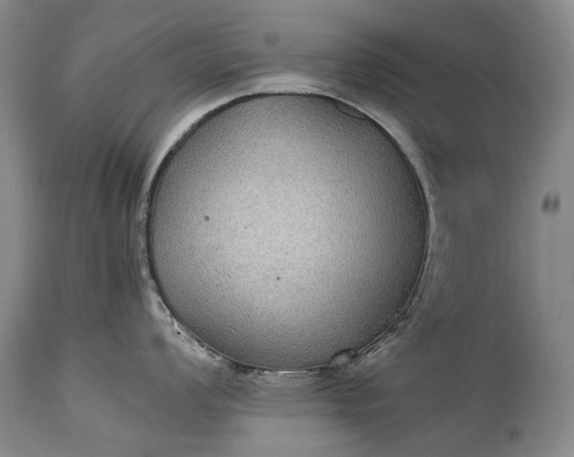 X0000115341008200911161827