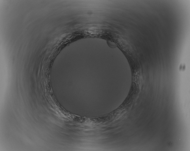 X0000115341009200911161827