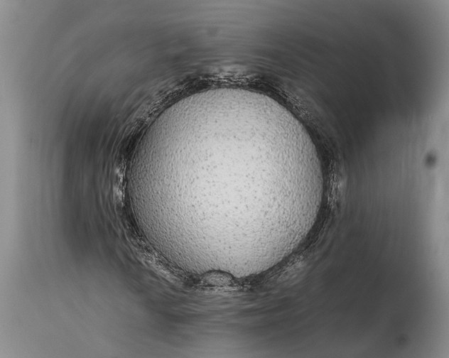 X0000115341010200911161827