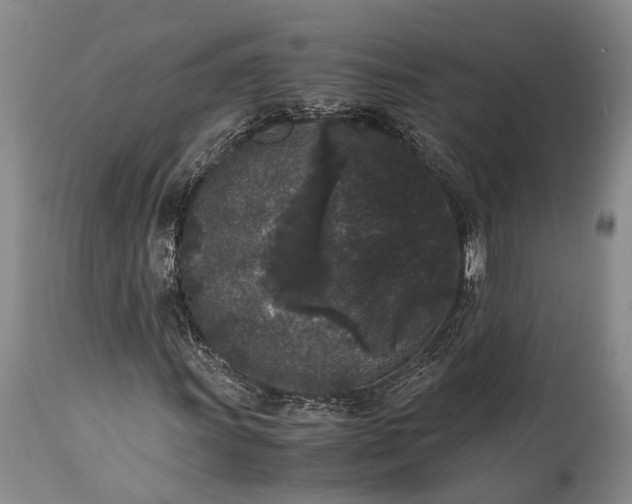 X0000115341011200911161827