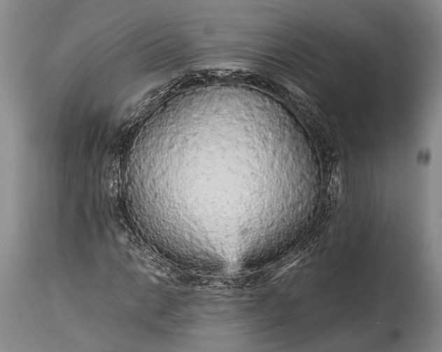 X0000115341014200911161827
