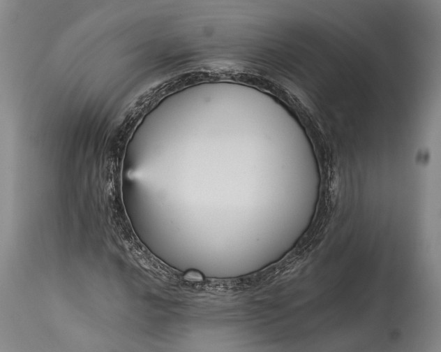 X0000115341016200911161827