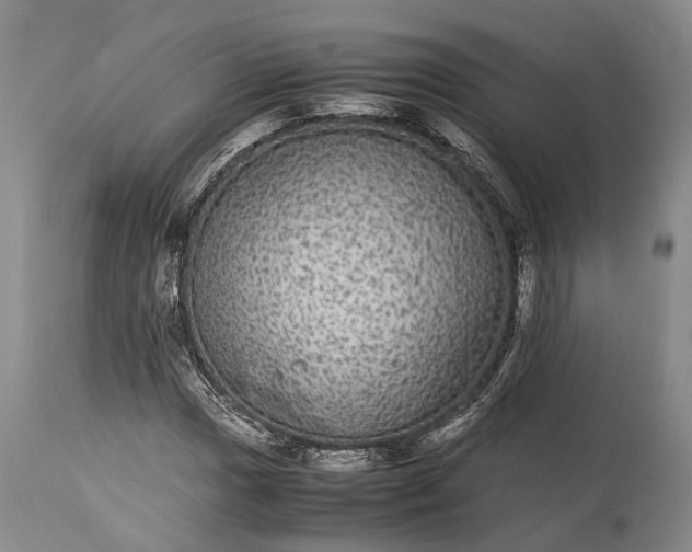 X0000115341017200911161827