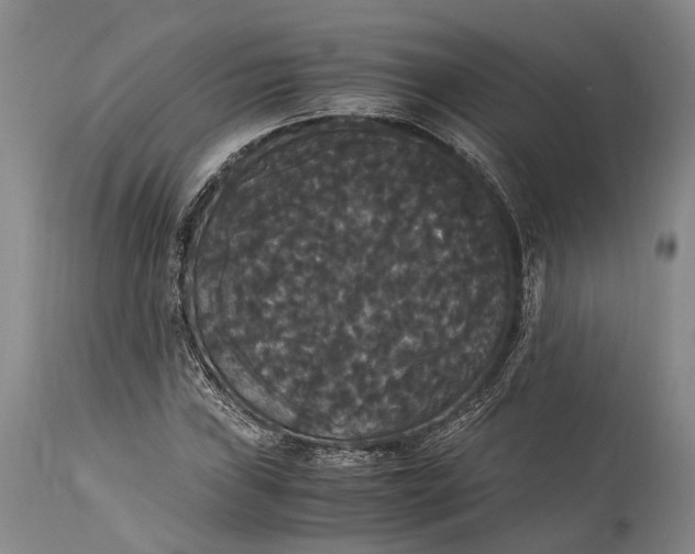 X0000115341019200911161827