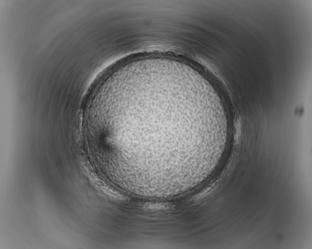 X0000115341021200911161827