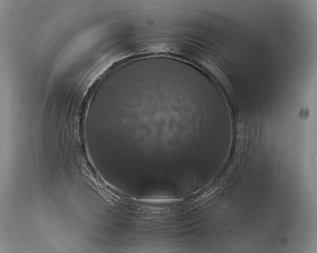 X0000115341023200911161827