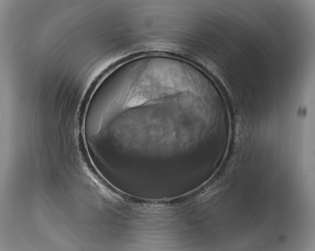 X0000115341024200911161827