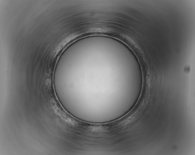 X0000115341025200911161827