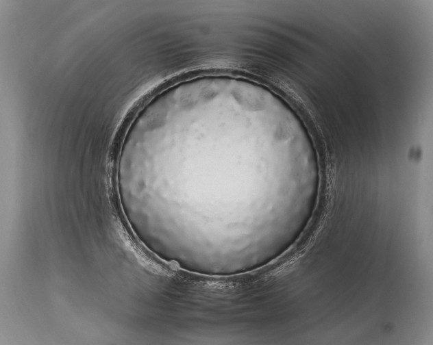 X0000115341029200911161827