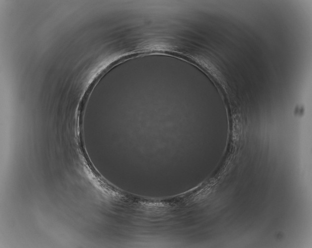 X0000115341031200911161827