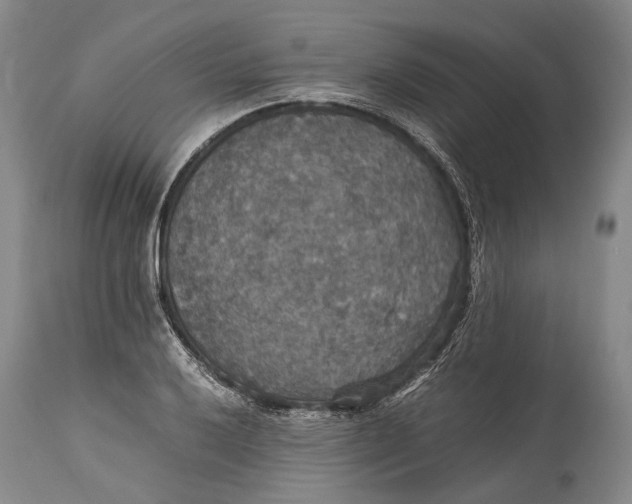 X0000115341032200911161827