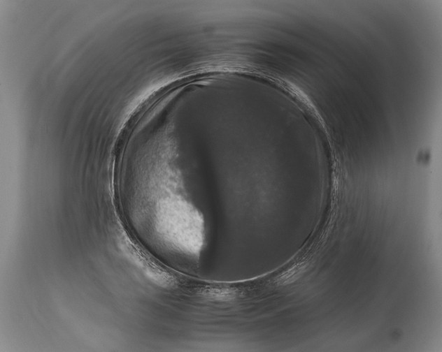 X0000115341035200911161827