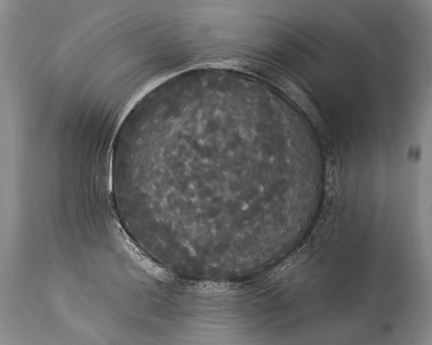 X0000115341036200911161827