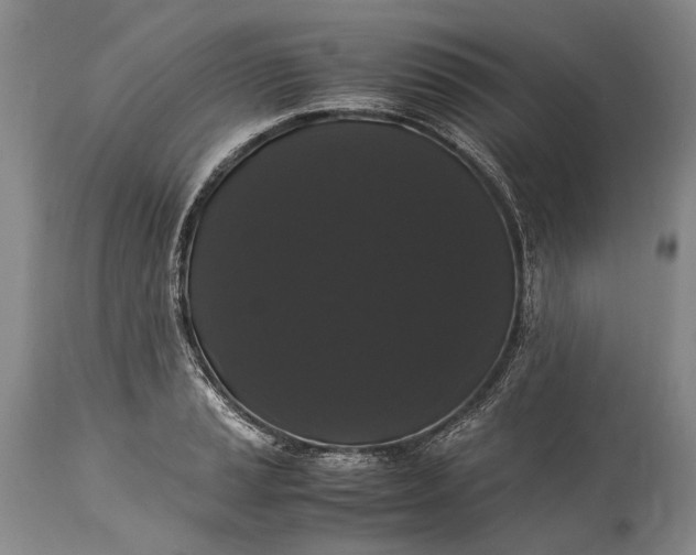 X0000115341037200911161827