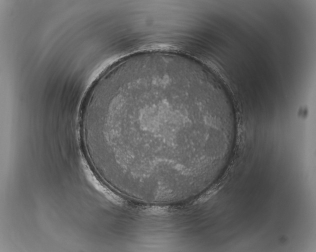 X0000115341038200911161827