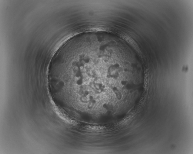 X0000115341039200911161827