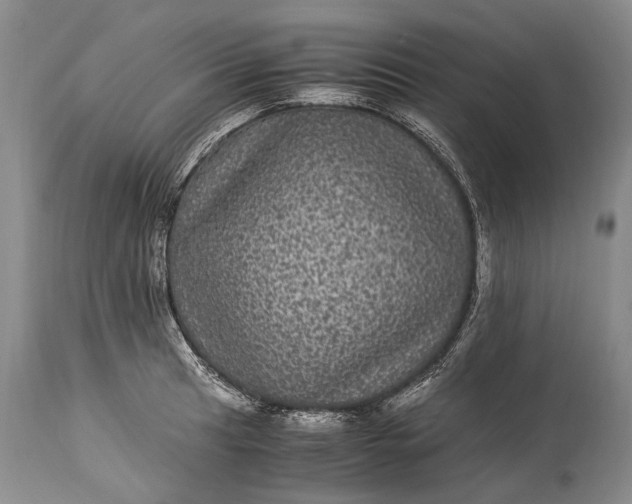 X0000115341041200911161827
