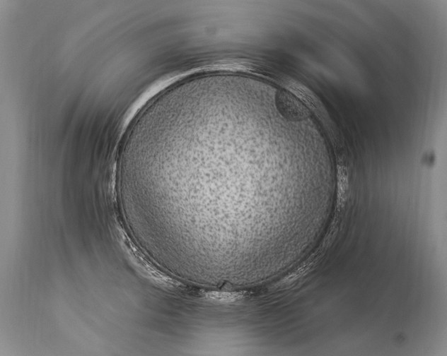 X0000115341044200911161827